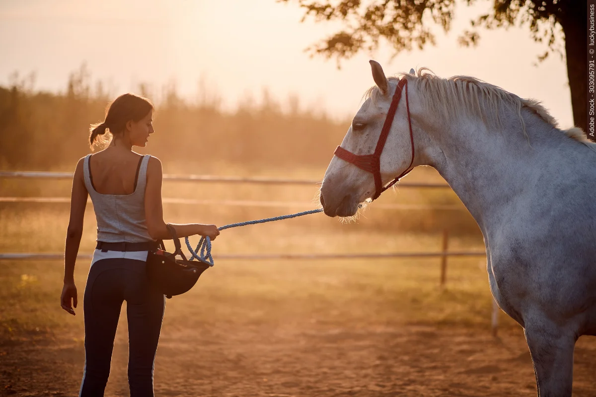 In diesem ausführlichen Artikel erfahren Sie alles wissenswerte darüber wie eine Desensibilisierung Pferd und Mensch helfen kann..